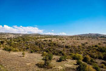 New Day Apartments Paphos Buitenkant foto
